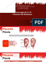 Hemorrogia Mayrines2