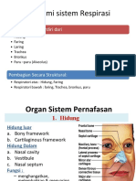 Dampak Obat Terhadap Sistem Respirasi