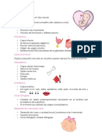 Resumen Prueba 1