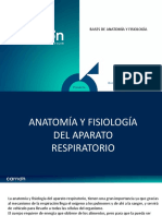 Anatomia y Fisiologia Del Aparato Respiratorio - Semana 12