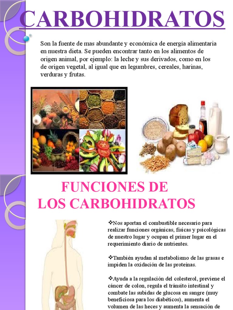 Carbohidratos Pdf