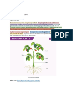 B&be - Material For The Lesson Planner