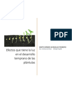 Germinación Completo 