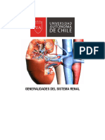 Generalidades Sistema Renal