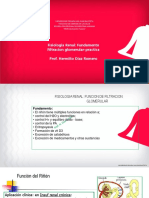 Funcion Renal Practica 1 PDF