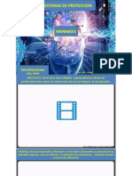 Sistemas de Protección Meninges III