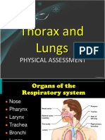 Thorax and Lungs Assessment