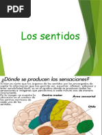 Infografía Sobre Nutrientes Esenciales Pdf Nutrición Dieta Y