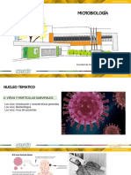 Clase 5 Microbiologia