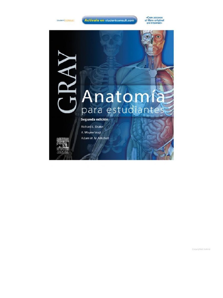Grays Anatomy For Students | PDF