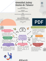 Mapa Mental Principios Relativos de La Seguridad Del Paciente.