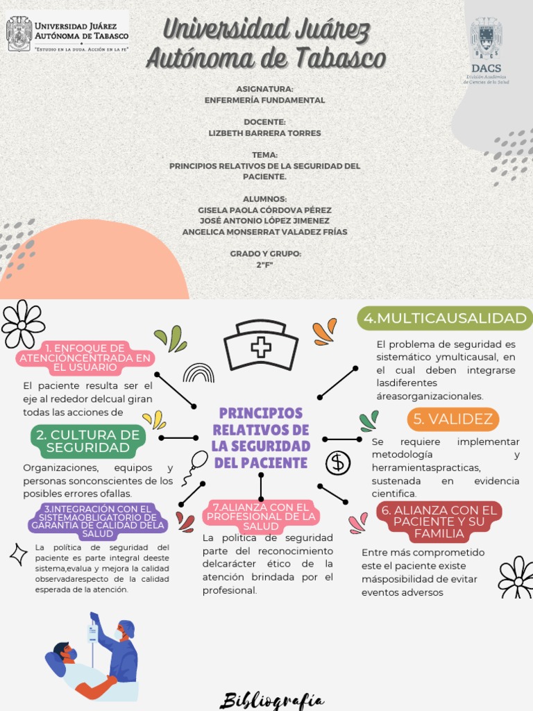 Principios de Seguridad del Paciente | PDF | Medicina | Cuidado de la salud