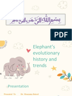 Evolutionary History of Elephant