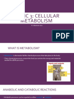 Topic 3 - Cellular Metabolism 2021