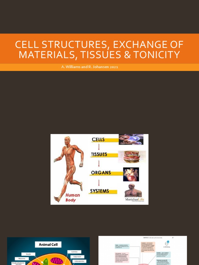 Topic 2 Cell Exchange of Materials Tissues Tonicity 2021 Download