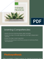 Photosynthesis and Respiration