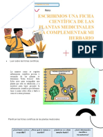 6° Grado - PPT - Dia 17 de Junio