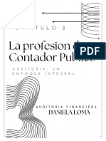 La Profesion Del Contador Publico