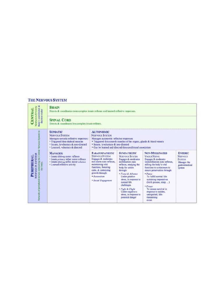 MNRI Method: Integrating Reflexes for Health | PDF | Autonomic Nervous ...
