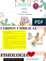 Distocias de Cordon Umbilical