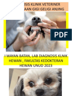 Diaklin Pemeriksan Gigi Geligi Anjing or Hewan