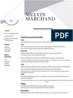 CV Melvin Marchand PDF