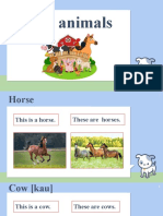 Farm Animals