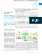 Plant Science: The Two Faces of DJ-1D Proteins