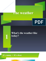 Weather