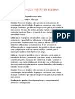 Liderança e Gestão de Equipas