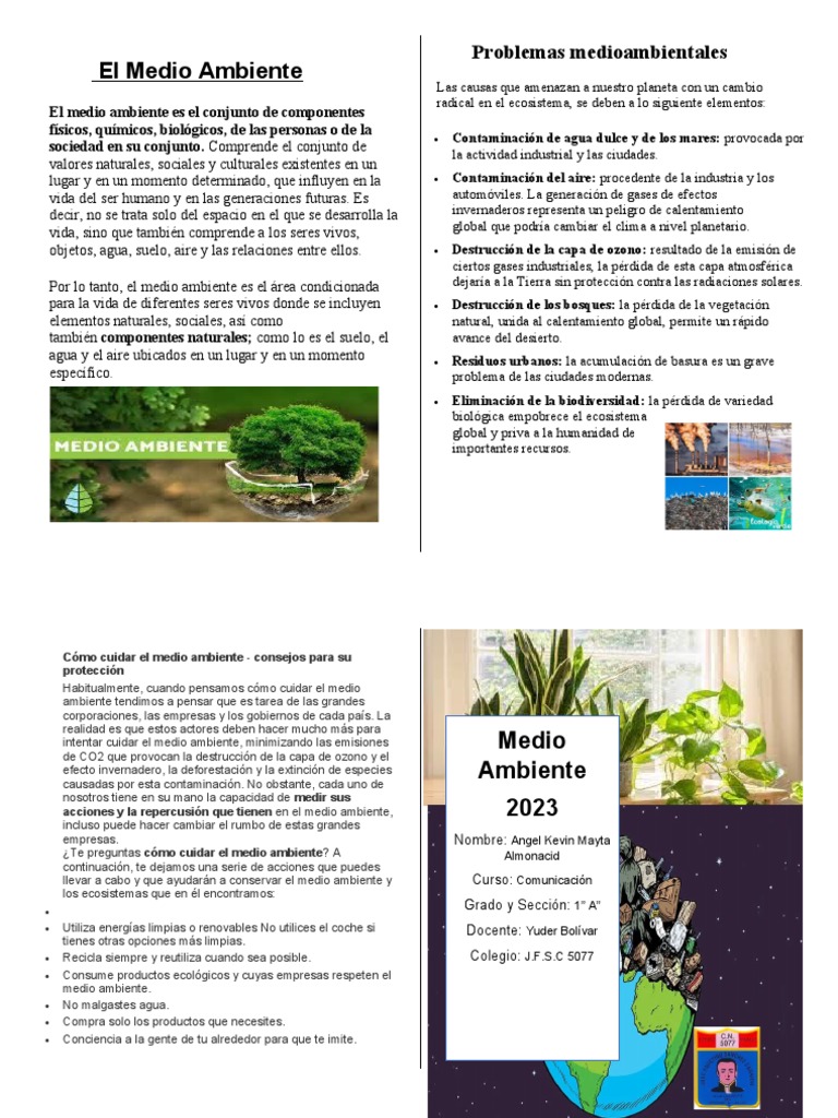 Medion Ambiente Diptico | PDF | Entorno natural | Contaminación