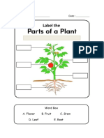 Science Parts of The Plants