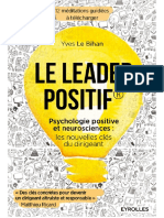 (Efficacité Du Manager) Yves Le Bihan - Le Leader Positif - Psychologie Positive Et Neurosciences (2016, Eyrolles)