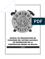 Manual de Organizacion y Funciones (Plantilla)
