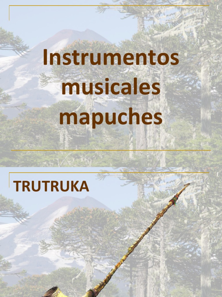 Instrumentos Musicales Mapuches | PDF