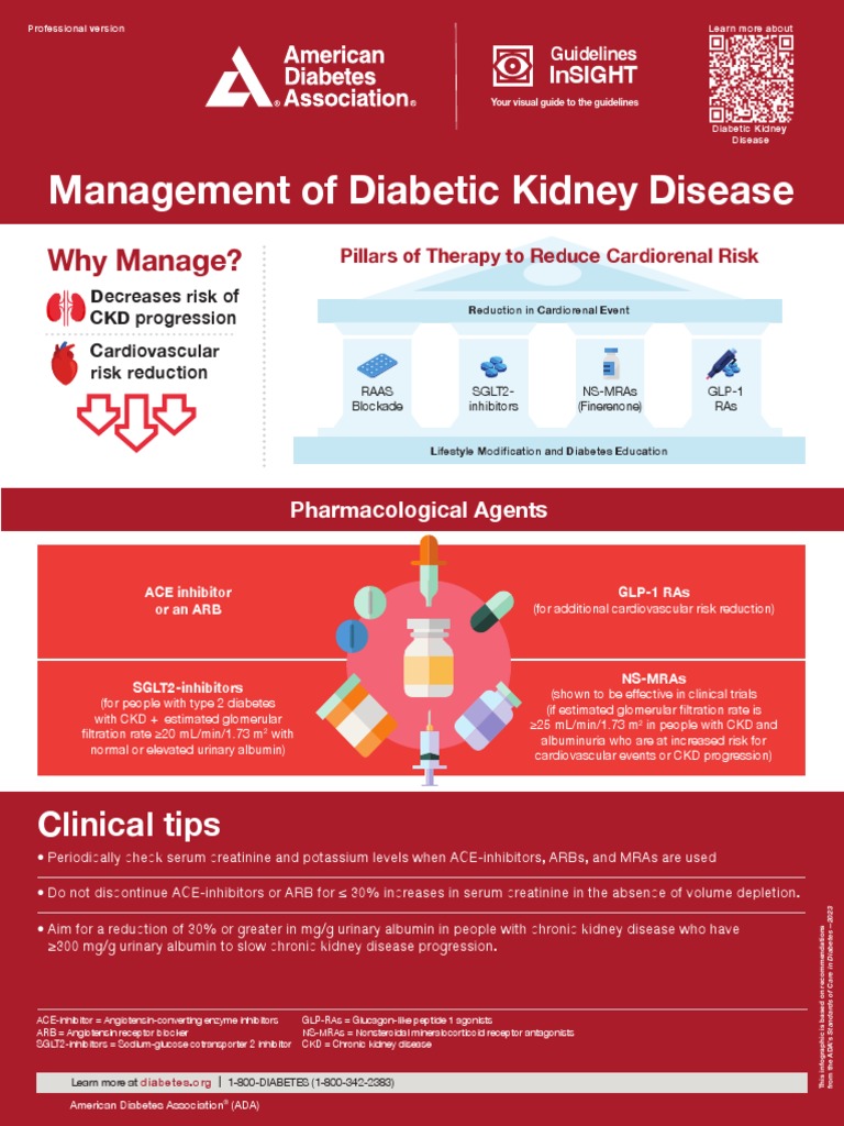Management of Diabetic Kidney Disease Updated 0 | PDF | Chronic Kidney ...