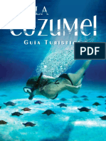 Guia Turistica de Cozumel1
