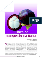 Cultivo do mangostão na Bahia