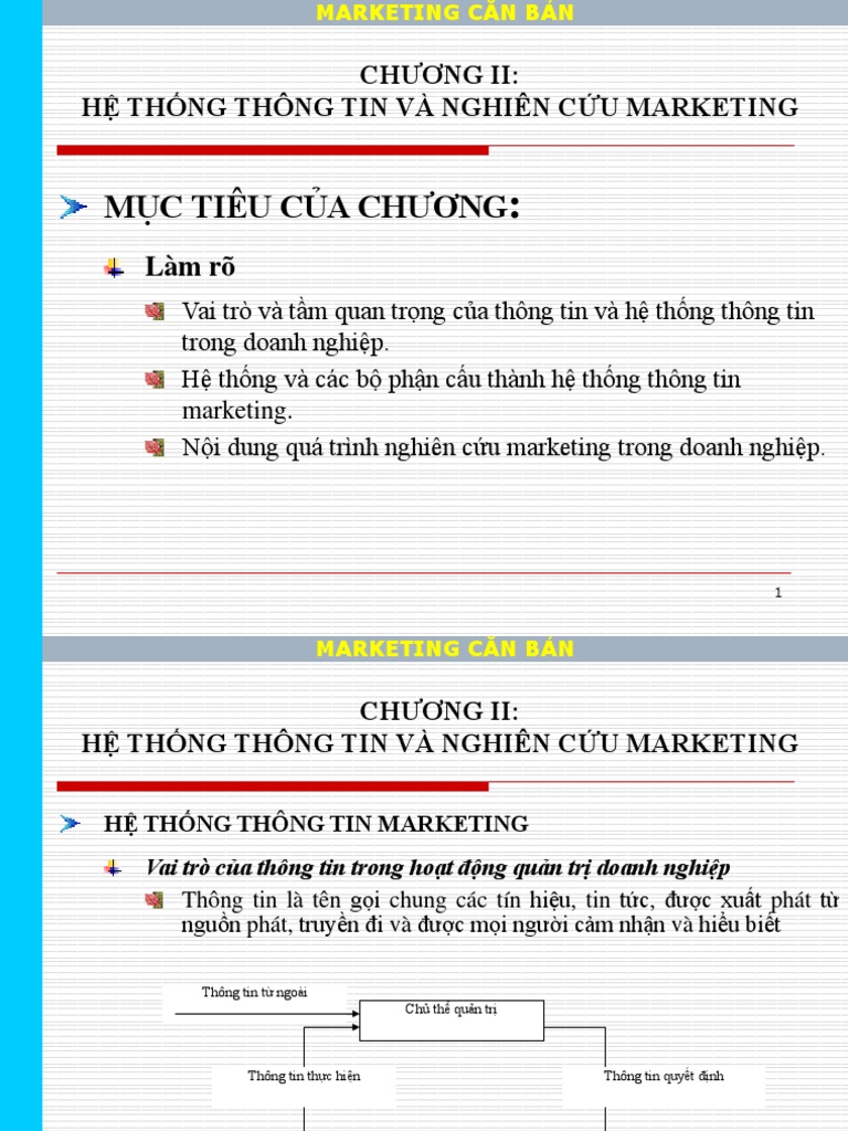 Chuong 2. He Thong Thong Tin Va Nghien Cuu Marketing | PDF