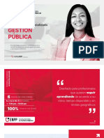 Diplomado Gestion Publica - Brochure ENPP