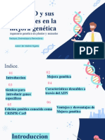 El Adn y Sus Funciones en La Mejora Genetica