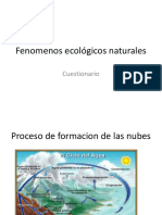 Fenomenos Ecològicos Naturales - Cuestionario