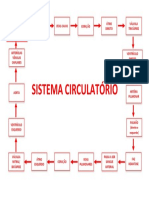 Fisiologia Geral - SISTEMA CIRCULATÓRIO - Fluxograma