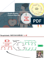 Slides Ciclo de Krebs