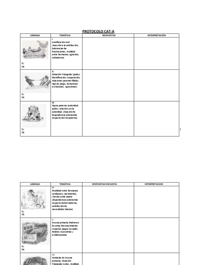 Protocolo CAT A | PDF | Sicología | Ciencias del comportamiento