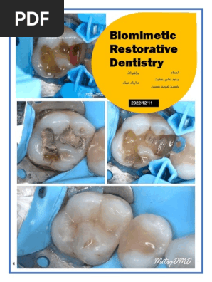 裁断済 Biomimetic Restorative Dentistry Biomimetic Restorative Dentistry | Pascal Magne / Urs C