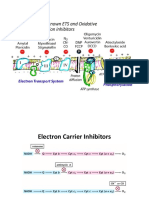 Inhibitors and Uncouplers of ETC | PDF | Electron Transport Chain ...