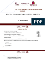 Presentacion 3era Sesion Ordinaria Inmujer 2022 Con Lineamientos - 25 Julio 2022 - VF para Proyectar