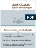 Aula 1 - Fenomenologia Contextualização e Contribuições