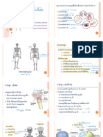 physiology: ต่างๆ body รูปร่าง ITT.tt